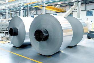 300391抖音轻量版